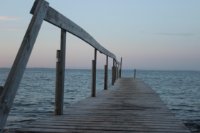 das zu löschende Bild