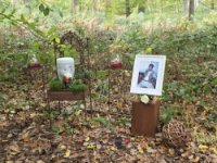 ein Bild aus dem Album